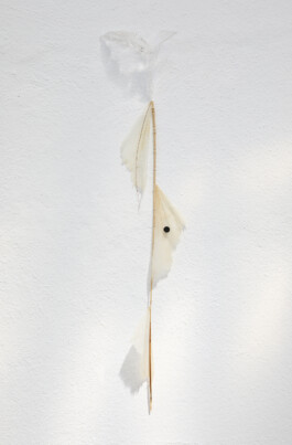 luca vanello